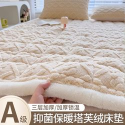 Antarctic Class a Milk Velvet Mattress Thickened for Student Dormitory Bed, Winter Single Thin Mattress Soft Cushion Coral