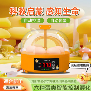 
Incubator small household fully automatic intelligent children's chick rutin chicken parrot egg incubator egg incubator