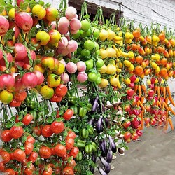 Simulated Fruit and Vegetable Hanging Skewers, Fruit and Vegetable Models, Fruit Shop Decoration, Farmhouse Hanging Ornaments, Simulated Fruit Ornaments