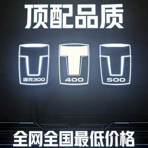 Tank 300/400/500 luminous crystal grille lamp center grille daytime running lights car logo modification accessories