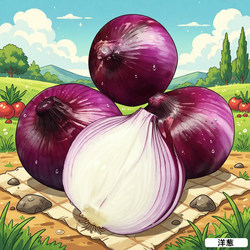 Onions Are Not Artificial Fruits or Vegetables; They Are Potted Plants for Foreign Farms and Gardens, Green Plants That Can Be Eaten in All Seasons, Not Toys
