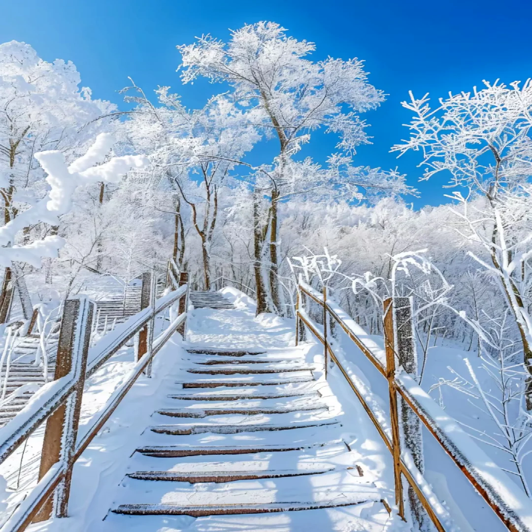 元旦长白山3日游 天池 魔界雾凇岛 朝鲜村 二道白河 赠长白山温泉