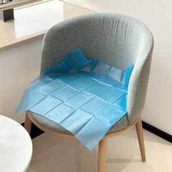 [Individually Packaged] Hotel Bed Sheets That Prevent Dirt, Disposable Travel Pads, Portable Travel Essentials