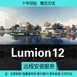 Lumion12/11/10/10.3/9/8/6 Software Chinese Version Installation Package Remote Installation with Material Tutorials Included