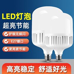 Led Light Bulb for Home Use E27 Screw Base Energy-Saving Lamp White Light Super Bright Indoor Eye Protection Flicker-Free High-Power Lighting Bulb
