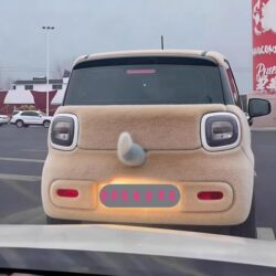 Car Rear Decoration Electric Fox Plush Tail That Moves and Swings, Car Rear Tail Ornament