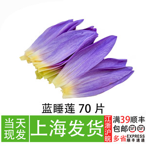 
Blue water lily petals, Western private dining dishes with creative flower arrangements, hotel dishes with beautiful decorations