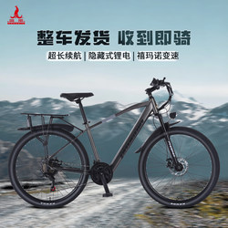 Phoenix F9 |   Lithium Battery Electric-Assisted Bicycle, Lightweight Commuting, New National Standard Lithium Battery Bike, Men's and Women's Electric Bicycle