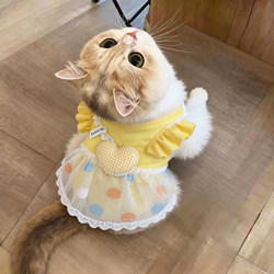 Cat Clothes, Pet Dog Vest, Suspender Dress, German Cat, Ragdoll Cat, Fluffy Tulle Skirt, Spring Outfit, Lace Princess Dress