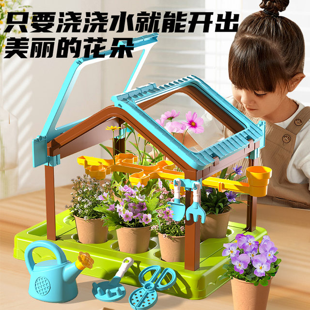 Sunroom planting children's flower room plant observation small potted science girl toys handmade diy birthday gift