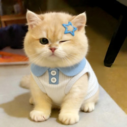 Kitten Clothes, Summer Cute Thin Polo Shirt with Lapel and Button Decoration, Pet Clothing, Universal Daily Vest