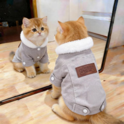 Cat Clothes, Winter Lamb Wool Vest, Casual Fleece Sweatshirt, Gold Gradient Ragdoll Dog Daily Pet Clothing