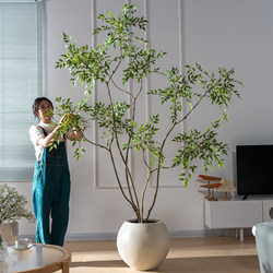 Simulated Green Plant Nandina Bamboo Indoor Floor-Standing Potted Plant Decoration for Living Room High-End Artificial Plant Fake Tree Landscape Decoration