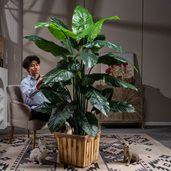 High-End Artificial Plant Rainbow Taro Potted Plant Indoor Large-Scale Simulated Green Plant Landscaping Decoration Atmosphere Fake Tree Ornament