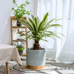 Nordic Artificial Green Plant Agave Fake Tree Indoor Living Room Office Floor-Standing Small Potted Plant Decoration Ornament
