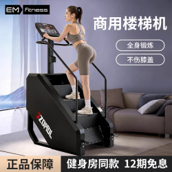 Stair Climber Gym Equipment for Home Use, Indoor Professional Climbing Machine, Studio Aerobic Stepper, Walking and Climbing Machine