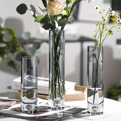 Light Luxury and High-End Nordic Style ins Glass Vase, Transparent Living Room Water-Cultured Flower Arrangement, Dining Table Decoration