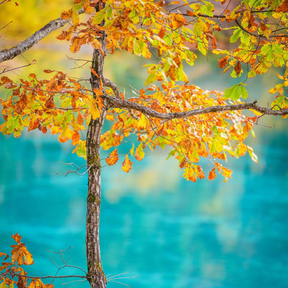 【6人空座团】九寨沟四姑娘山达古冰川五日川西跟团游成都5天4晚