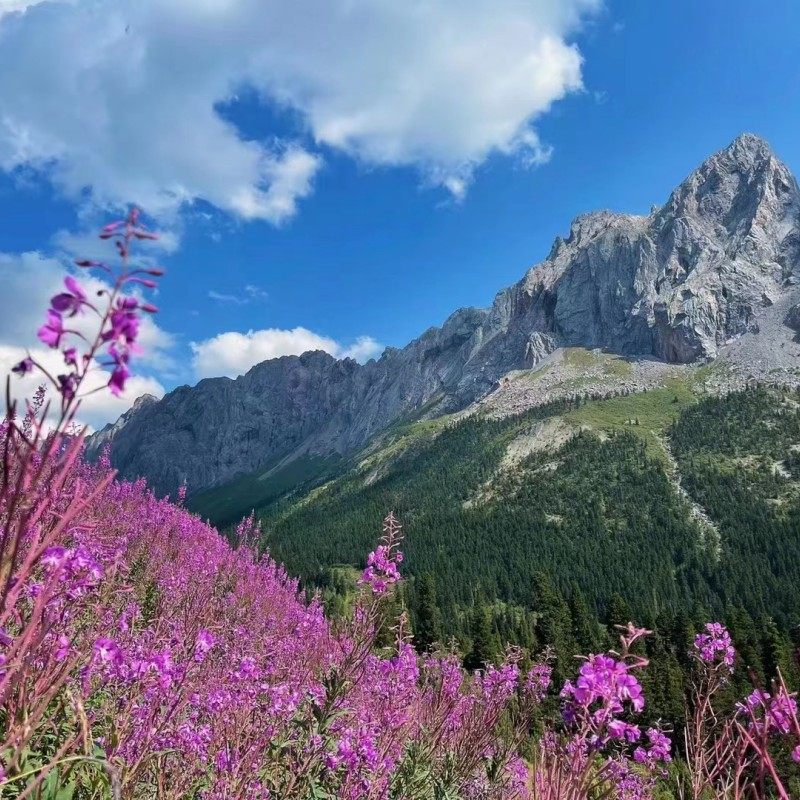 小团甘南3日拉卜楞寺甘加秘境美仁草原扎尕那腊子口夏河纯玩户外