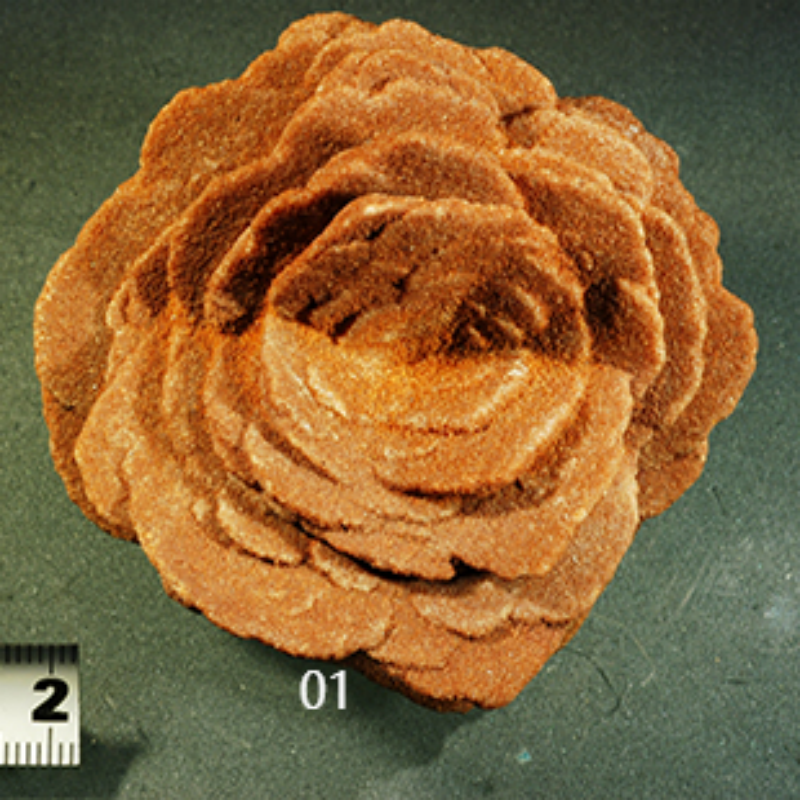 中国地质博物馆【私家1对1不拼团】导游深度2H讲解跟团一日游