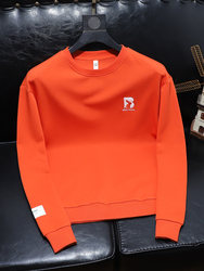 Trendy Printed Sweatshirt for Men 2025 Autumn and Winter New Trendy High-End Round Neck Fleece-Lined Casual Long-Sleeved T-Shirt