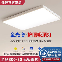 Shijiang Simple Modern Atmospheric Room Lamp 2025 New Living Room Lamp Led Home Ceiling Lamp Bedroom Lamp 3