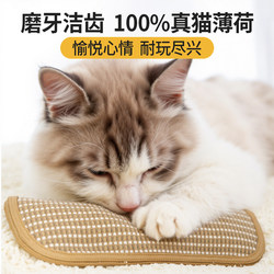 Cat Toy Catnip Pillow for Kittens, a Self-Entertainment and Boredom-Relief Gadget, a Pillow That Helps Expend Energy and Grind Teeth, Specifically for Cats