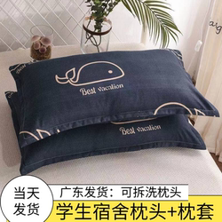 New Style Pillow for Student Dormitory, Male and Female Cartoon Neck Protection Pillow to Aid Sleep, Pair Set, Solid Color Pillowcase with Pillow Core