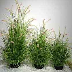 Artificial Green Plants, Dog Tail Grass, Artificial Flowers, Reed Grass, Fake Grass, Bionic Cat Tail Grass, Fake Plants, Flower Box Decoration, Landscaping