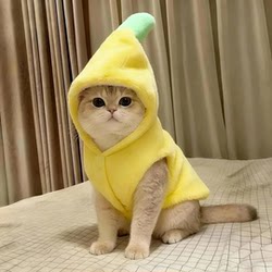 Cat Clothes Funny Banana Transformation Outfit Autumn and Winter Ragdoll Blue Cat Silver Shaded Pet Dog Fleece Thickened