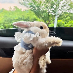 Little Rabbit Harness with Jk Skirt, Special Leash for Going Out, Anti-Escape, Anti-Lost Rope, Pet Clothes Harness