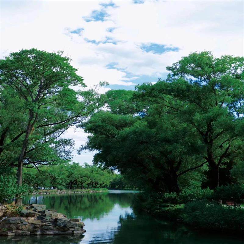 八达岭长城+颐和园 观清华北大+鸟巢水立方可上门接一日游