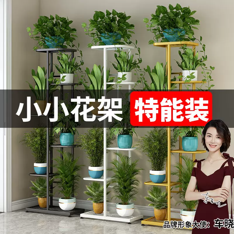 花架子客厅e花盆架落地家用花卉盆栽室内花架置物架铁艺阳台