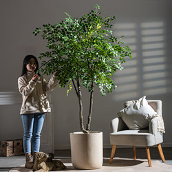 Large Artificial Elm Money Tree for Indoor Living Room Entrance, Faux Tree, Biomimetic Green Plant, Floor-Standing Tall Landscape Decoration Ornament