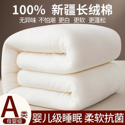 Xinjiang Cotton Quilt, First-Grade Long-Staple Cotton Quilt, Thickened for Winter, Single-Person Quilt Core, Bedding Cotton Mattress, Pure Cotton Quilt for Student Dormitory