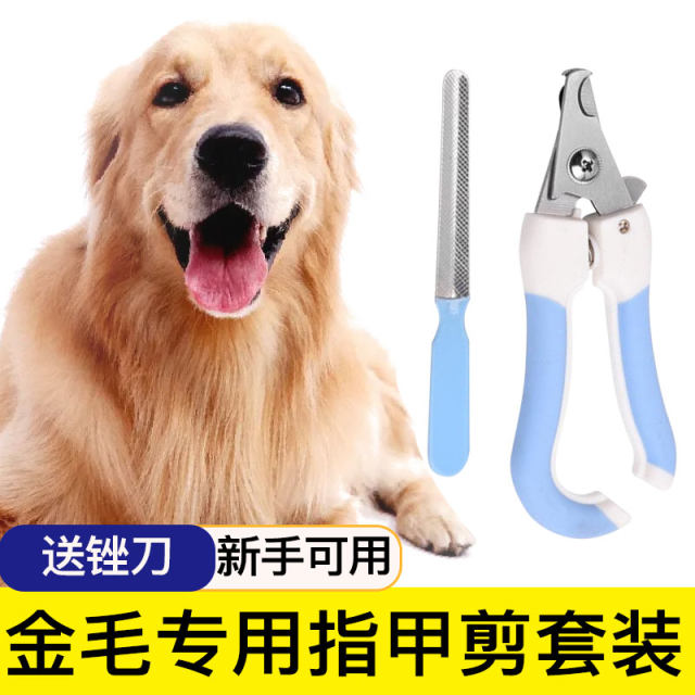 Image showcasing Special golden retriever dog nail clipper nail polishing device special ...