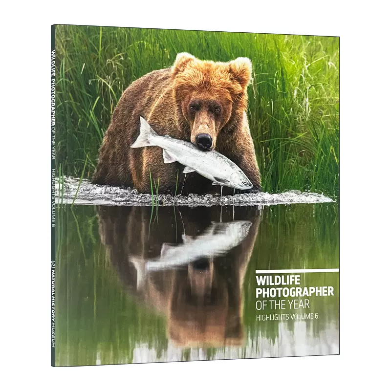写真集 Wildlife Photographer of the Year 6冊 Wildlife Photographer of the Year 未開封 6冊 【公式通販】