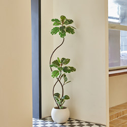 Artificial Green Plant Black Diamond Leaf Rubber Tree Indoor Living Room Tv Cabinet Floor-Standing High-End Decorative Ornament