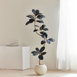 Black Diamond Rubber Tree Artificial Green Plant High-End Light Luxury Living Room Decoration Large Floor-Standing Wabi-Sabi Style Simulated Fake Plant