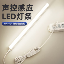 Voice-activated sensor night light integrated LED light strip