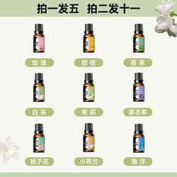 Aromatherapy Essential Oil Humidifier Diffuser Stone Special Water-Soluble Lavender Fragrance Long-Lasting Fragrance White Tea Suitable for Pregnant Women and Infants