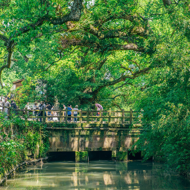 丽水旅游 3天2晚云和梯田古堰画乡仙都松阳 宿民宿 专车接送