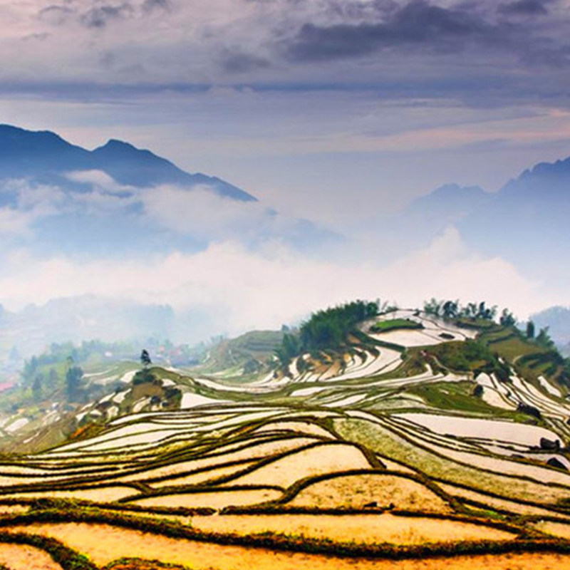 丽水旅游 3天2晚云和梯田古堰画乡仙都松阳 宿民宿 专车接送