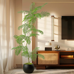 Jacaranda Simulated Green Plant Decoration Indoor Living Room Classy Accessible Luxury Tv Cabinet Floor-Standing Ornaments Large Potted Fake Trees