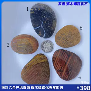 【天然石　鑑賞石】　奇石/化石　海藻化石　木台付　　N1217B
