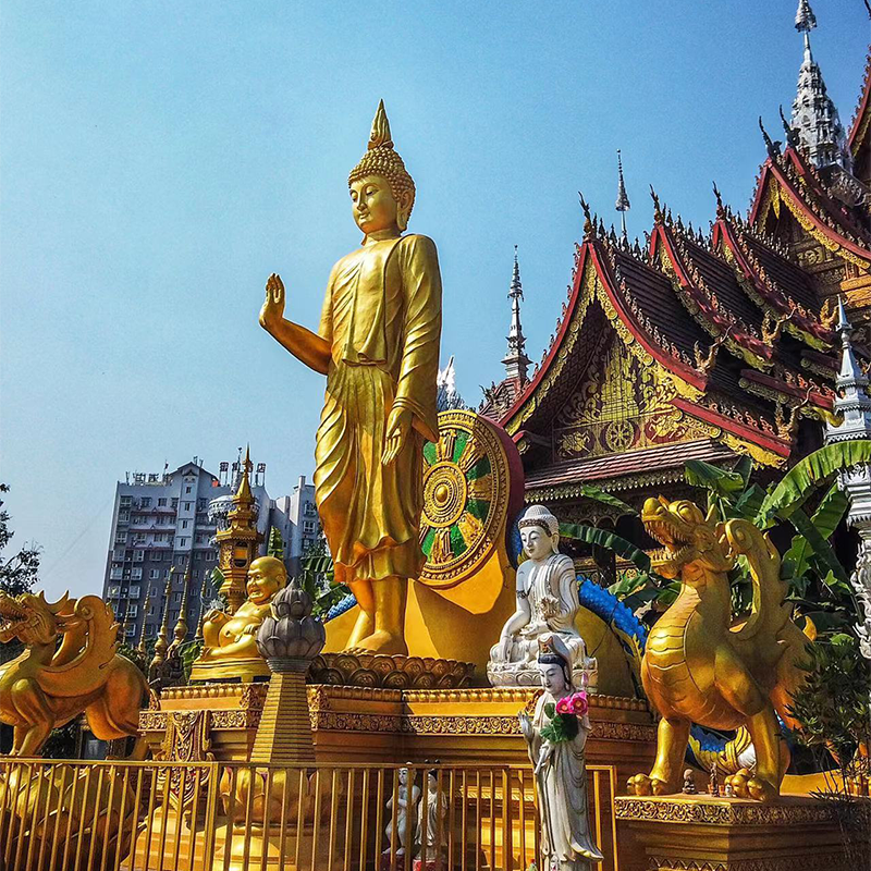 云南西双版纳旅游野象谷星光夜市6天5晚跟团游