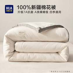 Winter Quilt Made of Pure Cotton from Xinjiang, Quilt Core for Autumn and Winter, Cotton Quilt, Cotton Batting, Thickened for Warmth in Winter, Single-Person Spring and Autumn Bedding