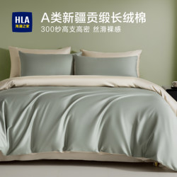 100 Long-Staple Cotton High-Thread-Count Satin Four-Piece Set, Light Luxury, High-Grade All-Cotton Pure Cotton Bedding, Three Duvet Covers, Bed Sheet 4