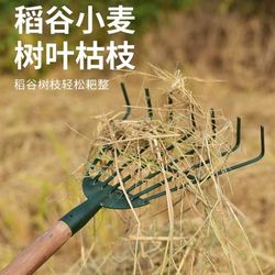 i Plastic rake, glue rake, grass rake, agricultural shovel, gardening tool, grass crawler, rake