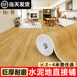 Carpet for Living Room and Bedroom, No-Wash, Wipeable, Large Area, Full Coverage, Thickened, Wear-Resistant, Waterproof, Non-Slip